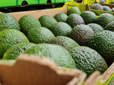 Hass Avocado 4kg