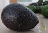 Hass Avocado 4kg