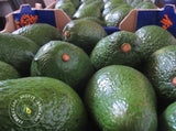 Hass Avocado 4kg